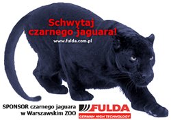 Fulda - Jaguar Beata