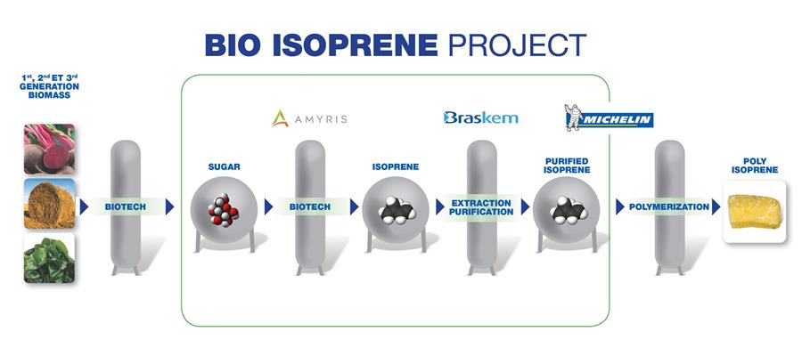 Michelin Bio Isopren Project