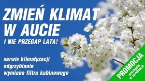 Zmień klimat w aucie i nie przegap nadchodzącego lata